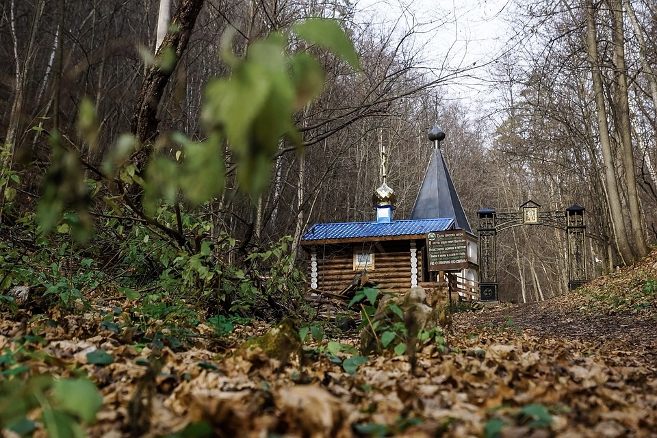 Самарская лука источник