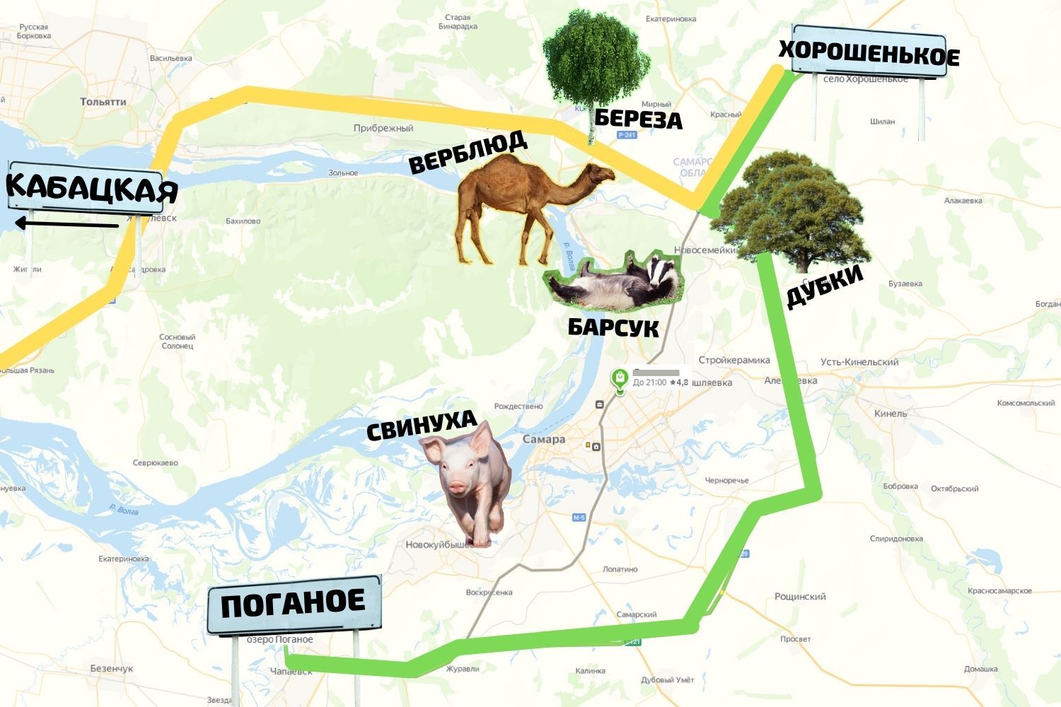 С Кабацкой в Хорошенькое, потом к Поганому: 10 маршрутов Самарской области  с особым смыслом - KP.RU