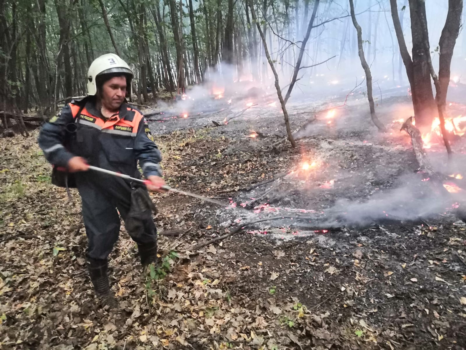 Страшный лесной пожар в Борском районе: село потушили, но лес пылает на 100  гектарах - KP.RU